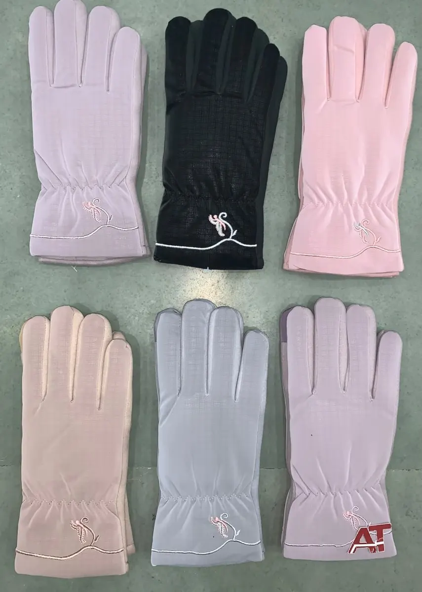 Ladies Gloves — wholesale gloves, Apsara Textiles Itwari Nagpur